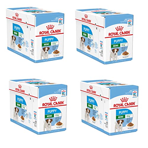 Royal Canin Mini Puppy | 4er Pack | 4 x 12 x 85 g | Nassfutter für kleine Hundewelpen | Bis zum 10. Lebensmonat | Feine Stückchen in Soße | Weiche Textur für die Milchzähne von ROYAL CANIN