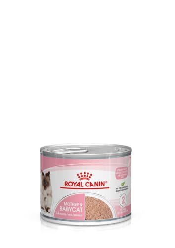 Royal Canin Mother & Babycat Mousse | 12 x 195 g | Alleinfuttermittel für Katzen | Speziell für die Mutterkatze und ihre Welpen | Zur Unterstützung der körpereigenen Abwehrkräfte von ROYAL CANIN