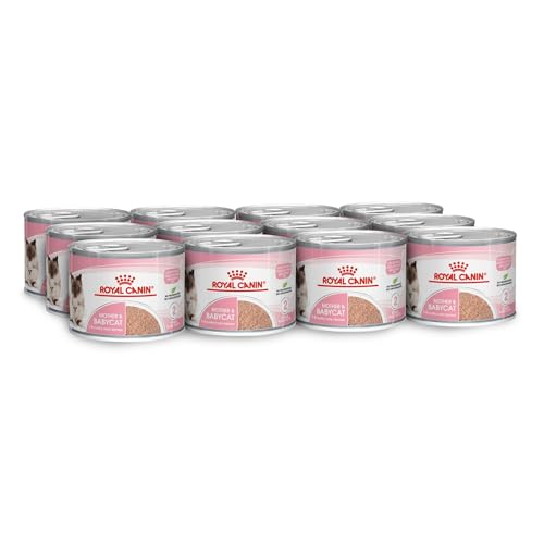 Royal Canin Mother & Babycat Mousse | 12 x 195 g | Alleinfuttermittel für Katzen | Speziell für die Mutterkatze und ihre Welpen | Zur Unterstützung der körpereigenen Abwehrkräfte von ROYAL CANIN