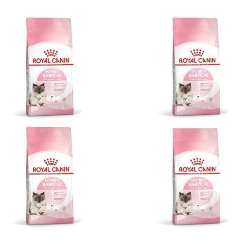 Royal Canin Mother & Babycat Trockenfutter | 4er Pack | 4 x 400 g | Für tragende und säugende Katzen | Alleinfuttermittel speziell für die Mutterkatze und ihre Welpen von ROYAL CANIN