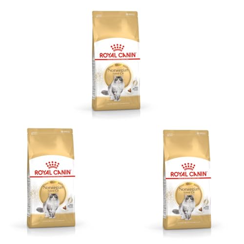 Royal Canin Norwegian Forest Cat Adult | 3er Pack | 3 x 400 g | Allfeinfuttermittel für ausgewachsene Norwegische Waldkatzen | Ab dem 12. Monat | Gesunde Haut und schönes Fell von ROYAL CANIN