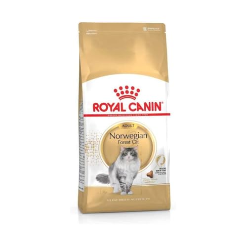 Royal Canin Norwegian Forest Cat Adult | 400 g | Allfeinfuttermittel für ausgewachsene Norwegische Waldkatzen | Ab dem 12. Monat | Gesunde Haut und schönes Fell von ROYAL CANIN