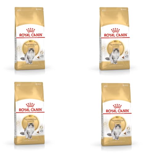 ROYAL CANIN Norwegian Forest Cat Adult | 4er Pack | 4 x 400 g | Allfeinfuttermittel für ausgewachsene Norwegische Waldkatzen | Ab dem 12. Monat | Gesunde Haut und schönes Fell von ROYAL CANIN