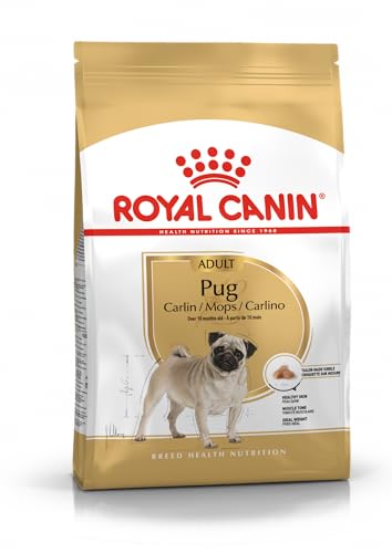 Royal Canin Pug | 1,5 kg | Trockenfutter für ausgewachsene Möpse | Zur Unterstützung des Fells und der Verdauung | Für Hunde ab dem 10. Lebensmonat von ROYAL CANIN