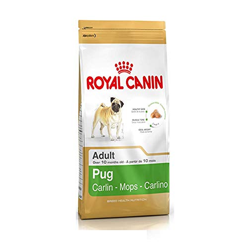 Royal Canin Pug Adult 1,5 kg, 1er Pack (1 x 1.5 kg) von ROYAL CANIN