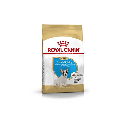 Royal Canin French Bulldog Puppy | 3 kg | Trockenfutter für Französische Bulldoggen Welpen | Kann die Verdauung unterstützen | Kann zur normalen Funktion des Immunsystems beitragen von ROYAL CANIN