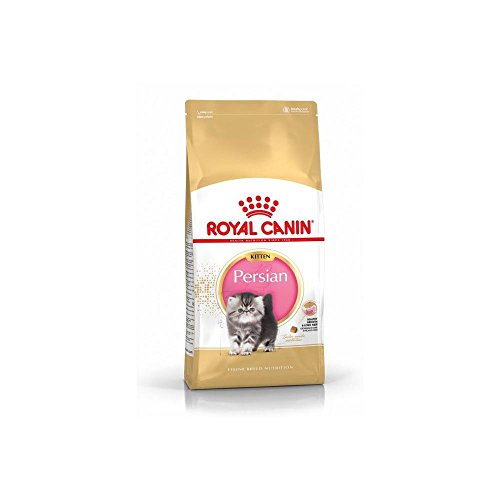 Royal Canin Race Persan Trockenfutter für Kätzchen von RC Feline Nutrition