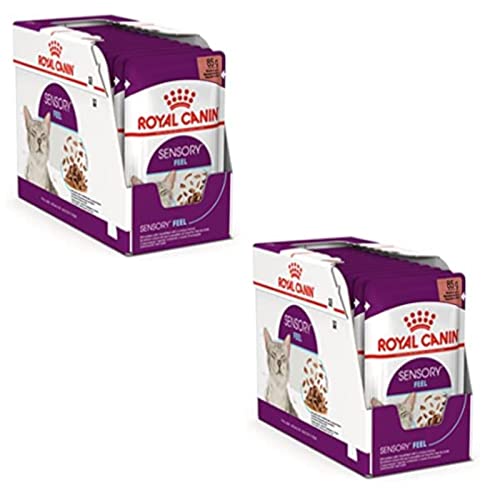 Royal Canin Sensory Feel Jelly | Doppelpack | 2 x 12 x 85 g | Nassfutter für ausgewachsene Katzen | Stückchen in Gelee | Zur Anregung des Mundgefühls | Instinktiv bevorzugt von ROYAL CANIN