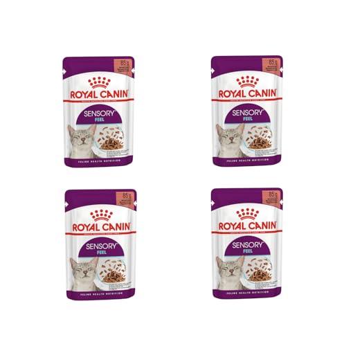 Royal Canin SENSORY FEEL Nassfutter in Soße für wählerische Katzen | 4er Pack | 4 x 12 x 85 g | Die besondere Textur kann dabei helfen das Mundgefühl von Katzen anzuregen von ROYAL CANIN