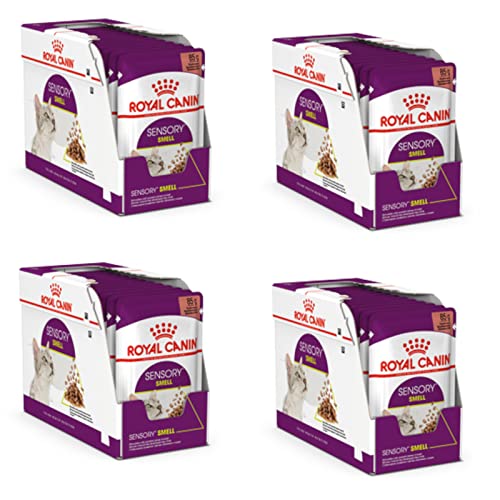 Royal Canin Sensory Smell | 4er Pack | 4 x 12 x 85 g | Nassfutter für ausgewachsene Katzen | Stückchen in Soße | Zur Anregung des Geruchssinns | Instinktiv bevorzugt von ROYAL CANIN