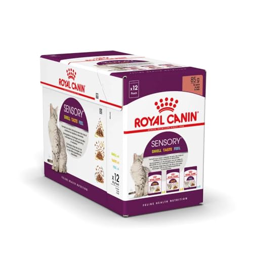 Royal Canin Sensory Smell Taste Feel Multibox | 12 x 85 g | Alleinfuttermittel für ausgewachsene Katzen | Kann die Sinne der Katze anregen | Mit feinen Stückchen in Soße von ROYAL CANIN