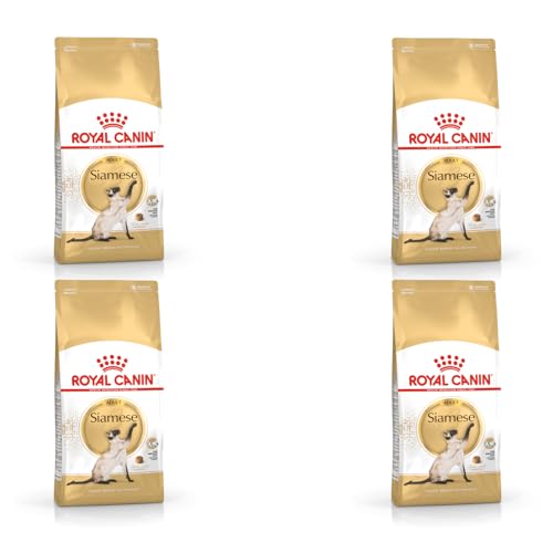 ROYAL CANIN Siamese Adult | 4er Pack | 4 x 400 g | Alleinfuttermittel für ausgewachsene Siamkatzen | Ab dem 12. Monat | Kann dabei helfen die Harnwegsfunktion zu unterstützen von ROYAL CANIN