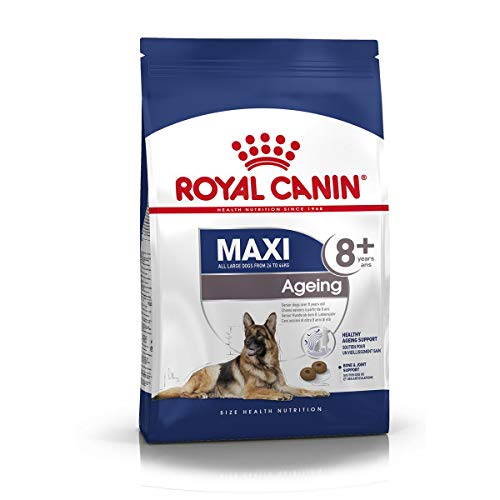 Royal Canin Size Maxi Ageing 8+, 1er Pack (1 x 15 kg) von ROYAL CANIN