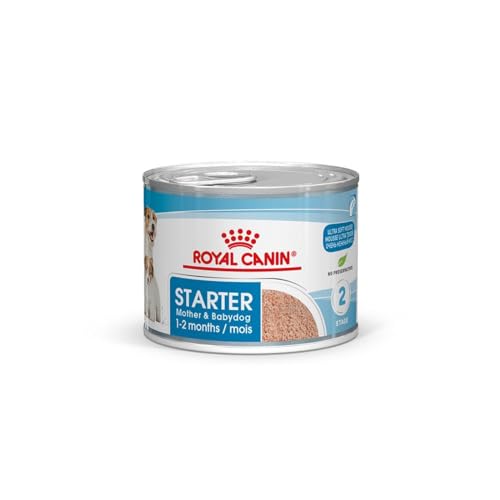 Royal Canin Starter Mousse Mother & Babydog | 12 x 195 g | Ultra Soft Mousse Feuchtnahrung | Für Hündinnen im letzten Drittel der Trächtigkeit und während der Säugezeit von ROYAL CANIN