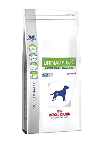 Royal Canin VET DIET Urinary S/O Moderate Calorie 6,5 kg von ROYAL CANIN