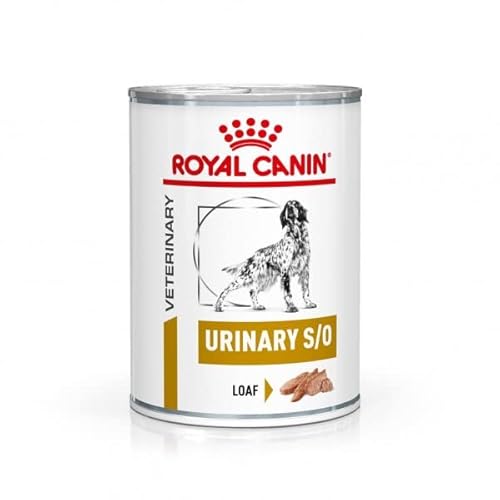 Royal Canin Veterinary Urinary S/O | 12 x 410 g | Diät-Alleinfuttermittel für ausgewachsene Hunde | Zur Auflösung von Struvitsteinen und Verringerung von Struvitsteinrezidiven von ROYAL CANIN