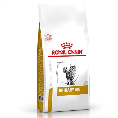 Royal Canin Veterinary Urinary S/O | 400 g | Trockenfutter für Katzen | zur Erhaltung der Harnwege | für Struvitkristalle | reduzierter Magnesiumgehalt von ROYAL CANIN