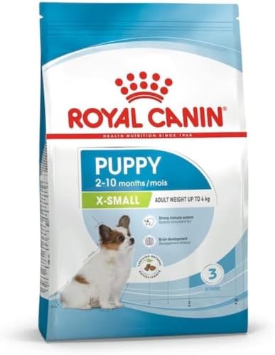 Royal Canin X-SMALL Puppy | 500 g | Trockenfutter für Welpen sehr kleiner Hunderassen | Kann zur normalen Funktion des Immunsystems beitragen | Mit Omega-3 von ROYAL CANIN