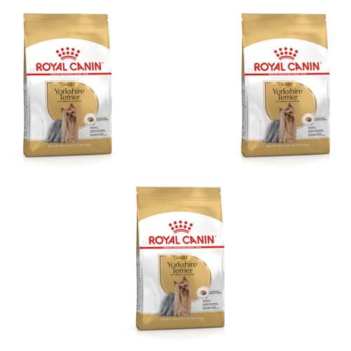 Royal Canin Yorkshire Terrier Adult Trockenfutter | 3er Pack | 3 x 500 g | Speziell für Erwachsene Yorkshire Terrier entwickelt | Unterstützung der körpereigenen Abwehrkräfte von ROYAL CANIN