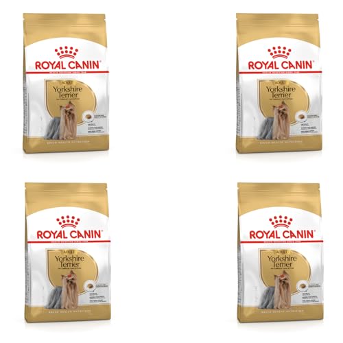 Royal Canin Yorkshire Terrier Adult Trockenfutter | 4er Pack | 4 x 500 g | Speziell für Erwachsene Yorkshire Terrier entwickelt | Unterstützung der körpereigenen Abwehrkräfte von ROYAL CANIN