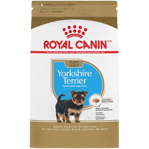 Royal Canin Yorkshire Terrier Puppy | 1,5 kg | Trockenfutter für Yorkshire Terrier Welpen bis zum 10. Monat | Zur Unterstützung des Immunsystems | Für schönes Fell und Gute Zähne von ROYAL CANIN