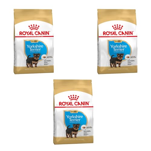 Royal Canin Yorkshire Terrier Puppy Trockenfutter | 3er Pack | 3 x 500 g | Speziell für Yorkshire Terrier Welpen bis zum 10. Monat | Unterstützung der körpereigenen Abwehrkräfte von ROYAL CANIN