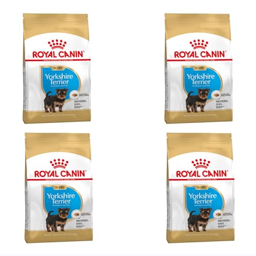 ROYAL CANIN Yorkshire Terrier Puppy Trockenfutter | Speziell für Yorkshire Terrier Welpen bis zum 10. Monat | Unterstützung der körpereigenen Abwehrkräfte | 4er Pack | 4 x 500 g von ROYAL CANIN