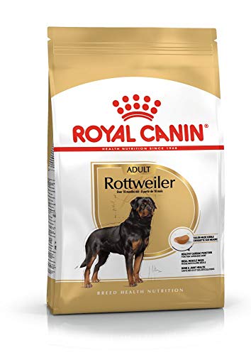 Royal Canin rottweiler, 1er Pack (1 x 12 kg) von ROYAL CANIN