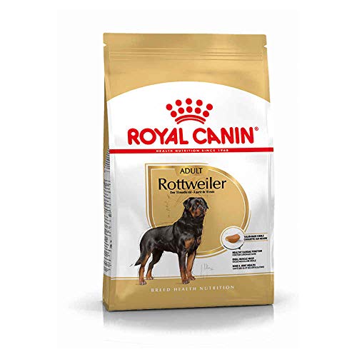 Royal Canin rottweiler, 1er Pack (1 x 12 kg) von ROYAL CANIN