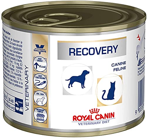 Royal Vet Canine Recovery Box 12x195gr 2340 g von ROYAL CANIN