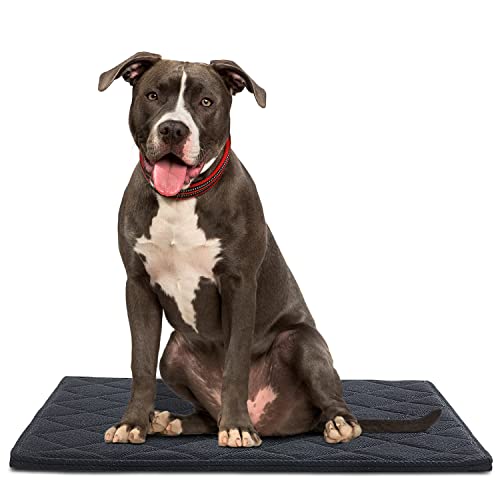 ROYALAY Kaufeste Hundematte für robuste Hunde, unzerstörbar und wasserabweisend, für aggressives Kauen, 71,1 x 119,4 cm, strapazierfähige Bettmatte für Hundekäfig, 71,1 x 119,4 cm, Schwarz von ROYALAY