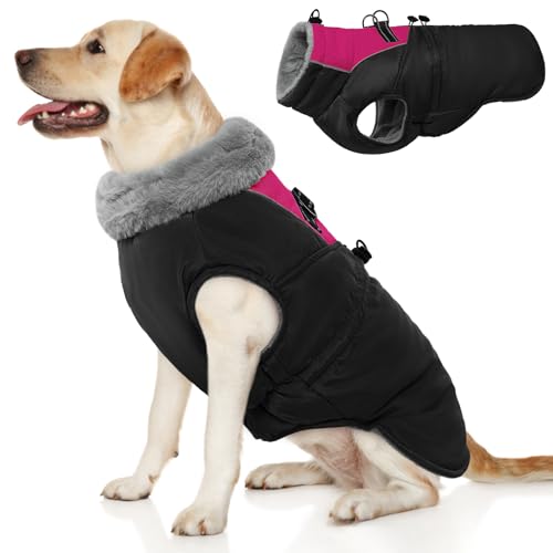 ROZKITCH Hundejacke für kaltes Wetter, Hundemantel für Herbst und Winter mit Rollkragen, Haustierkleidung mit verstellbaren Schnallen, weiche, warme Haustierkleidung mit reflektierendem Streifen für von ROZKITCH