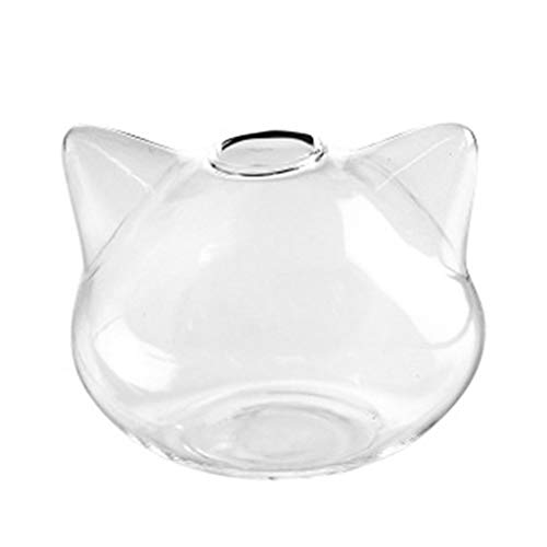 RPFROP Glasvase, transparent, niedlich, für Katze, für den Schreibtisch, dekoratives Pflanzen-Terrarium, Blumenvase, Flaschenhalter, dekorative Blumenbott von RPFROP