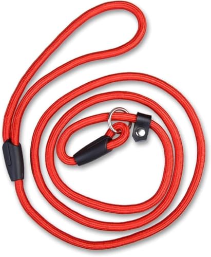 RPixc Hundeleine, Nylon, verstellbare Trainingsleine, Leine, Leine, Leine, Leine, Halsband, Leine (Farbe: Rot, Größe: L) von RPixc