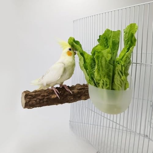 RPixc Vogelfutterstation für Papageien mit Holzständer Sitzstange Käfig Obst Gemüse Halter Gemüseregal Tierfutter Hängekörbe Papagei Obst Hängebehälter Käfig Hängekorb Container von RPixc