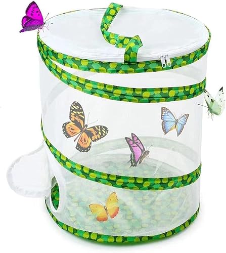 Schmetterlings-Lebensraum Mesh Grashüpfer Seidenraupe Glühwürmchen Schmetterling und Insekten Lebensraum Käfig Schmetterling Kit 30,5 x 35,6 cm Pop-Up von RPixc