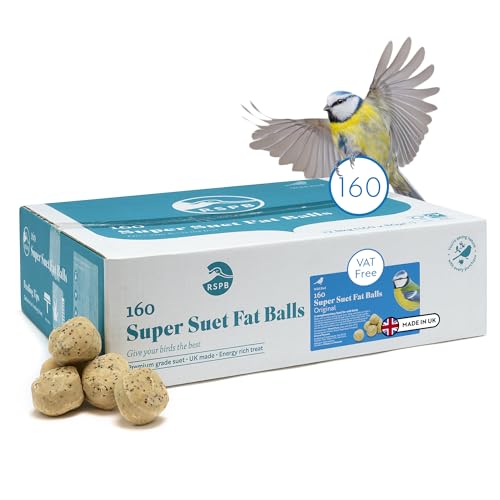 RSPB - Meisenknödel für Wildvögel, energiereiches Futter, Meisenknödel für Wildvögel, hergestellt in Großbritannien, zur Ganzjahresfütterung geeignet (Box mit 160 Stück) von RSPB