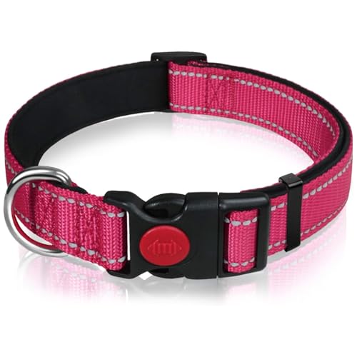 RSYHVG Reflektierendes Hundehalsband aus Nylon mit Sicherheitsschnalle, verstellbare Haustierhalsbänder mit weicher Neoprenpolsterung für mittelgroße Hunde, Hot Pink von RSYHVG