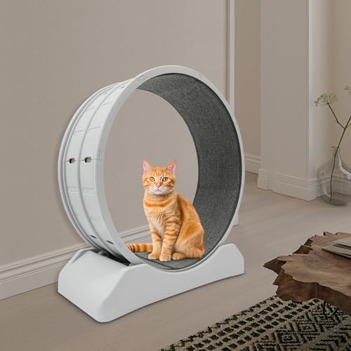 80cm Katzenlaufrad, Katzenlaufrad für Große Katzen, Cat Wheel, Trainingsgeräte für Katzen, Tragfähigkeit 10kg, für Katzen zum Bewegen und Spielen, Grau von RUETERY