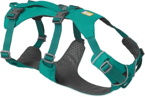 RUFFWEAR Flagline Hundegeschirr, Reflektierendes, Gepolstertes Geschirr mit Anti-Zerr-Funktion und Griff – Schmelzwasser-Türkis, XXS von RUFFWEAR