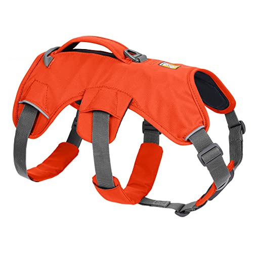 RUFFWEAR Mehrzweck-Hundegeschirr mit Griff, Web Master, verstellbares, Geschirr, 2 Leinenbefestigungen, für den täglichen Gebrauch, Blaze Orange, M von RUFFWEAR