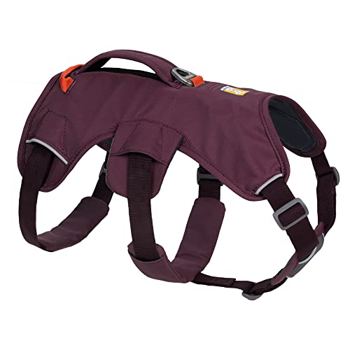 RUFFWEAR Mehrzweck-Hundegeschirr mit Griff, Web Master, verstellbares, Geschirr, 2 Leinenbefestigungen, für den täglichen Gebrauch, Purple Rain, L/XL von RUFFWEAR