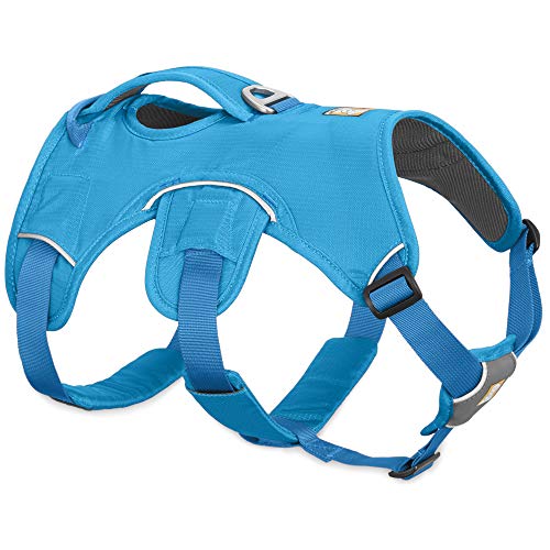 Ruffwear Mehrzweck-Hundegeschirr, Raues Gelände, Arbeitshunde, Mittelgroße Hunderassen, Größenverstellbar, Größe: M, Blau, Web Master Geschirr von RUFFWEAR