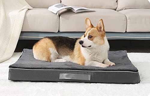 XXLarge Orthopädisches Hundebett Memory Foam Hundebett Hundesofa,hundebett waschbar,Sofadecke,Couchkissen,Anti-Rutsch,Hundematratze flauschig,Indoor Outdoor von RUIBEI