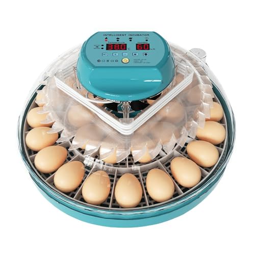 Automatischer Inkubator für Eier, Kontrolle der Inkubationstemperatur, automatisches Wenden für Eierliebhaber, ideal für Hühner, Gänse und Vögel (30 Eggs) von RUICUBEI