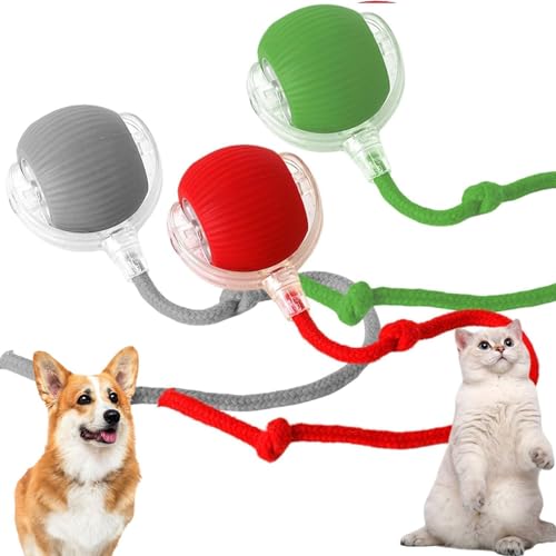 RUICUBEI Chewie Rolling Ball, interaktives Spielzeug für Katzen, interaktives Spielzeug für Hunde mit LED-Licht, automatisches 360-Grad-Drehspielzeug für Katzen und Hunde (3 Stück) von RUICUBEI