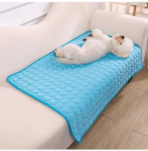 RUILBJM Hund Haustiere Kühlpad rutschfest Waschbar Sommer Haustier Teppich Katzennapf Unterlage Zwinger Käfig Bett Sofa Kissen Gilt für Kätzchen Kaninchen Meerschweinchen (Blue,100x70 cm) von RUILBJM