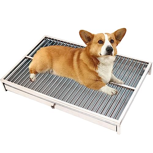 Hundetoilette, Edelstahl-Material, Indoor-Hundetoilette, Veranda, Töpfchen für Hunde, leicht zu reinigen, Trainer für Hunde, Zuhause, Wohnung, Veranda, Terrasse, 62 x 41,9 x 9,9 cm von RUIZE