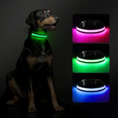 RUXAN Leuchtendes Hundehalsband USB Aufladbar, LED Hundehalsband Wasserdicht mit 3 Modi Größe Einstellbar Sicherheit Hundehalsband für Kleine Mittlere Große Hunde für Nacht Sicherheit von RUXAN