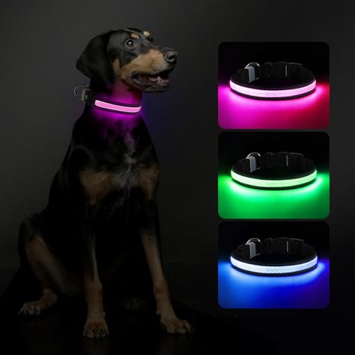 RUXAN Leuchtendes Hundehalsband USB Aufladbar, LED Wasserdicht Mit 3 Modi, Größe Einstellbar für Kleine Mittlere Große Hunde, Nacht Sicherheit von RUXAN